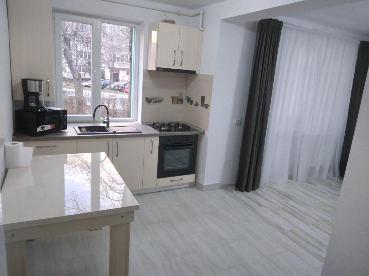 Luxury Apartament Curtea de Argeş Eksteriør billede